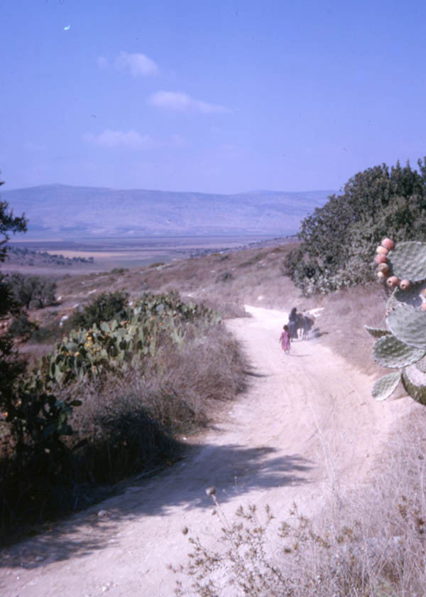 'A country track near Nazareth'